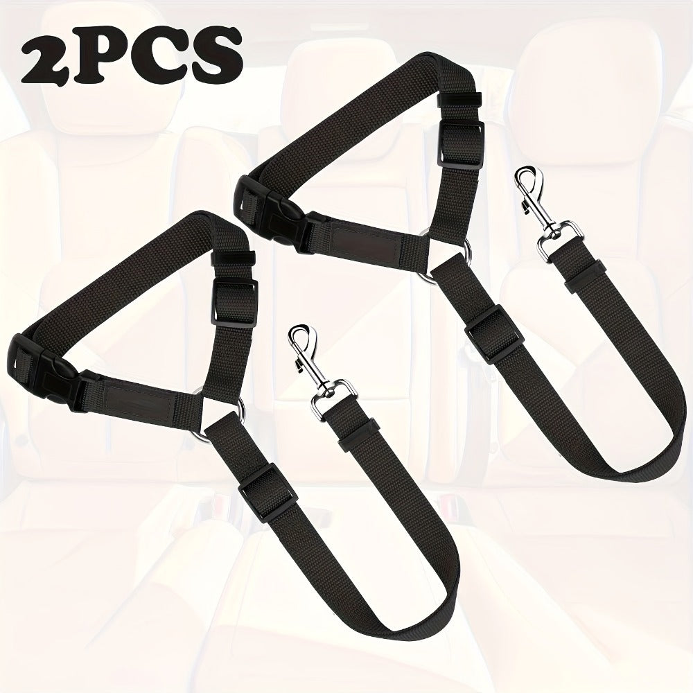 Premium Two-Piece Dog Leash Set