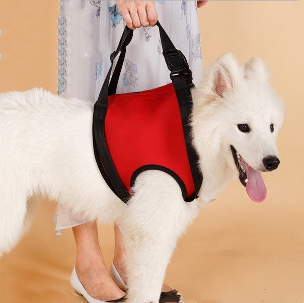 Pet Safety Care Auxiliary Belt