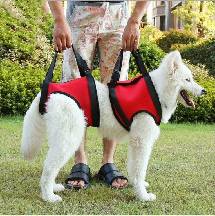 Pet Safety Care Auxiliary Belt