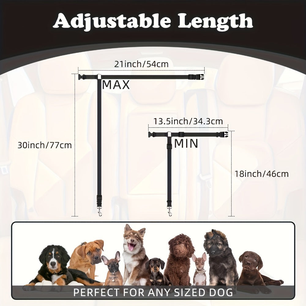Premium Two-Piece Dog Leash Set
