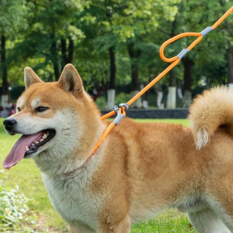 Strong Control Dog Leash