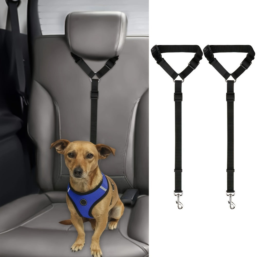 Premium Two-Piece Dog Leash Set