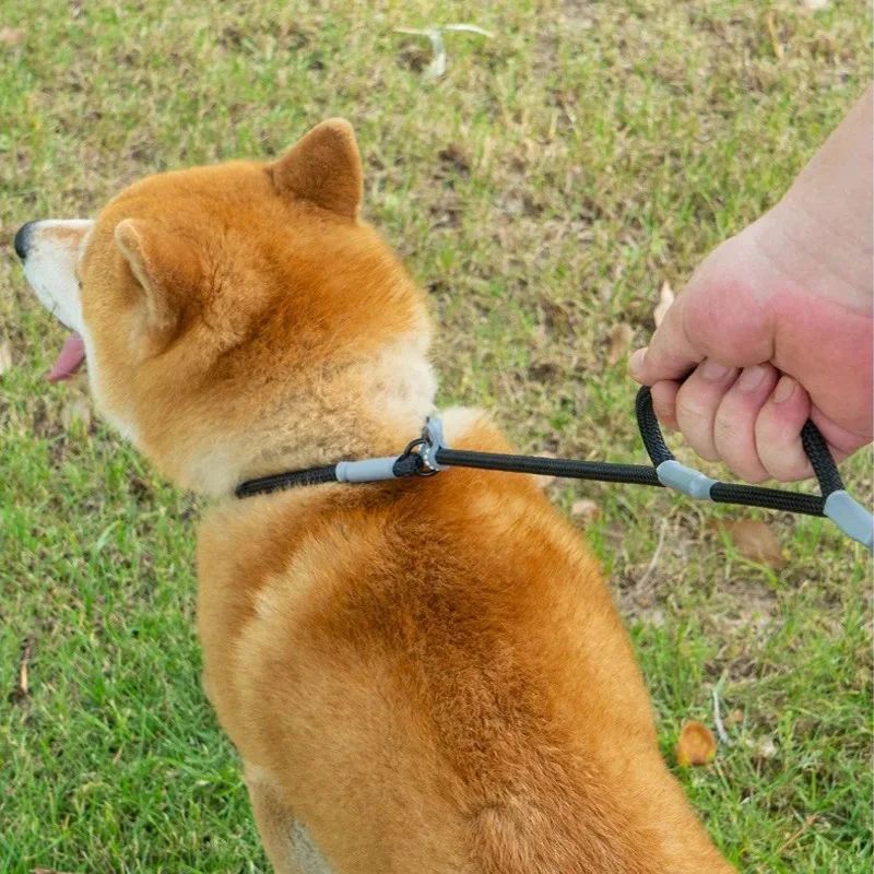 Strong Control Dog Leash