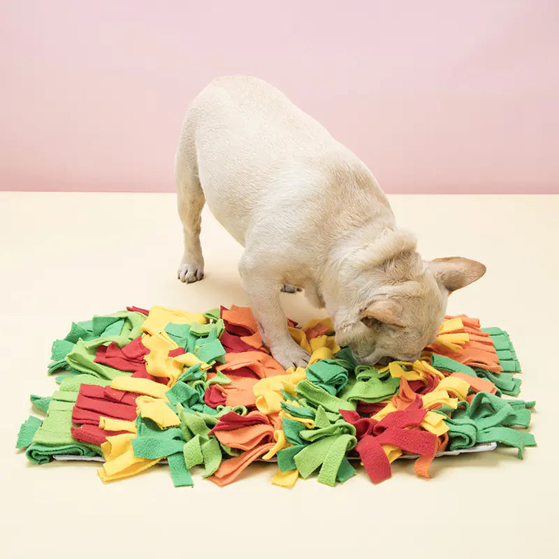 Pet Sniffing Pad for Foraging Training (European & American)