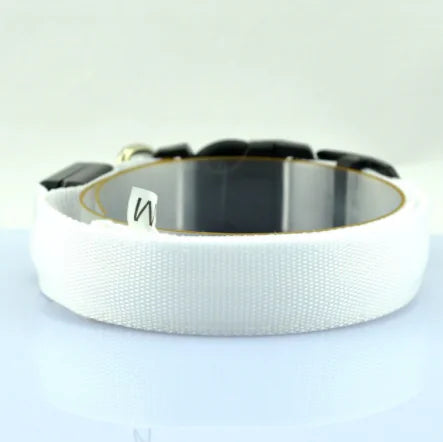 Luminous Fluorescent Dog Collar for Pet Supplies