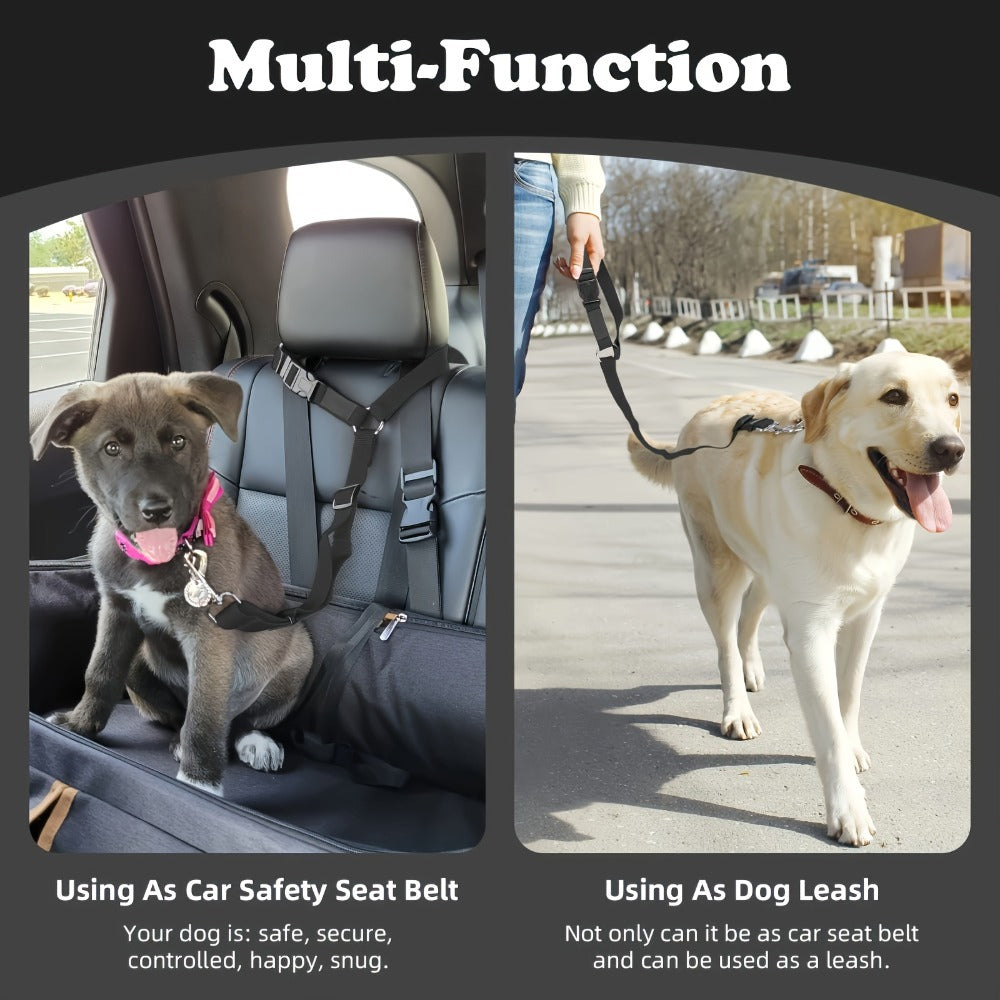 Premium Two-Piece Dog Leash Set