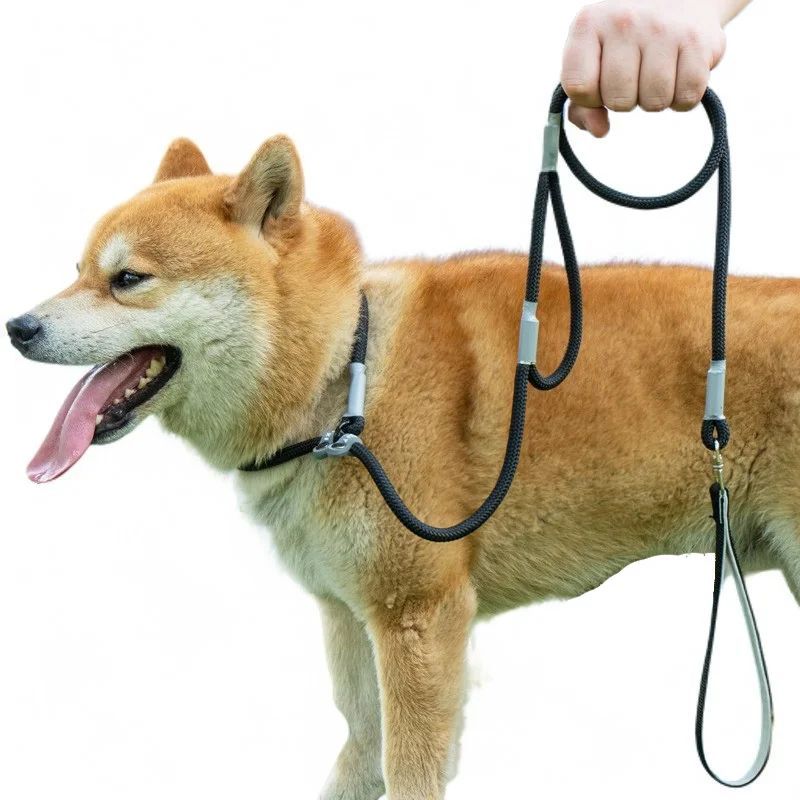 Strong Control Dog Leash