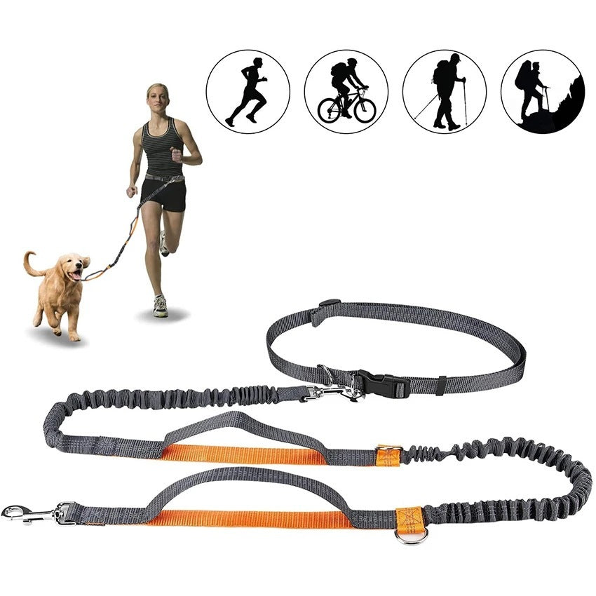 Adjustable Nylon Harness Collar