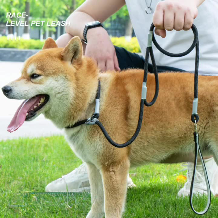 Strong Control Dog Leash