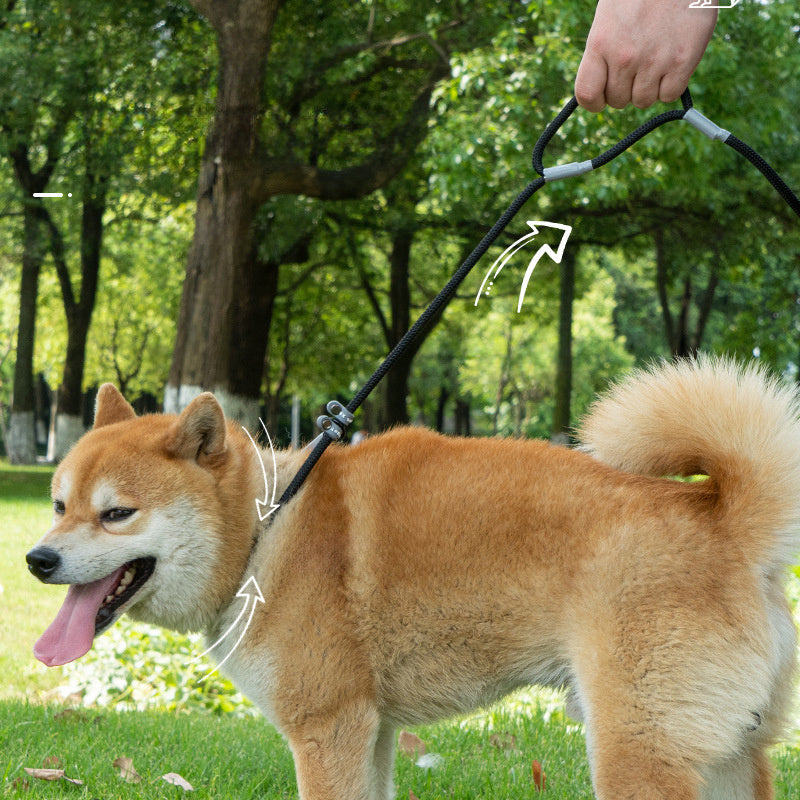 Strong Control Dog Leash