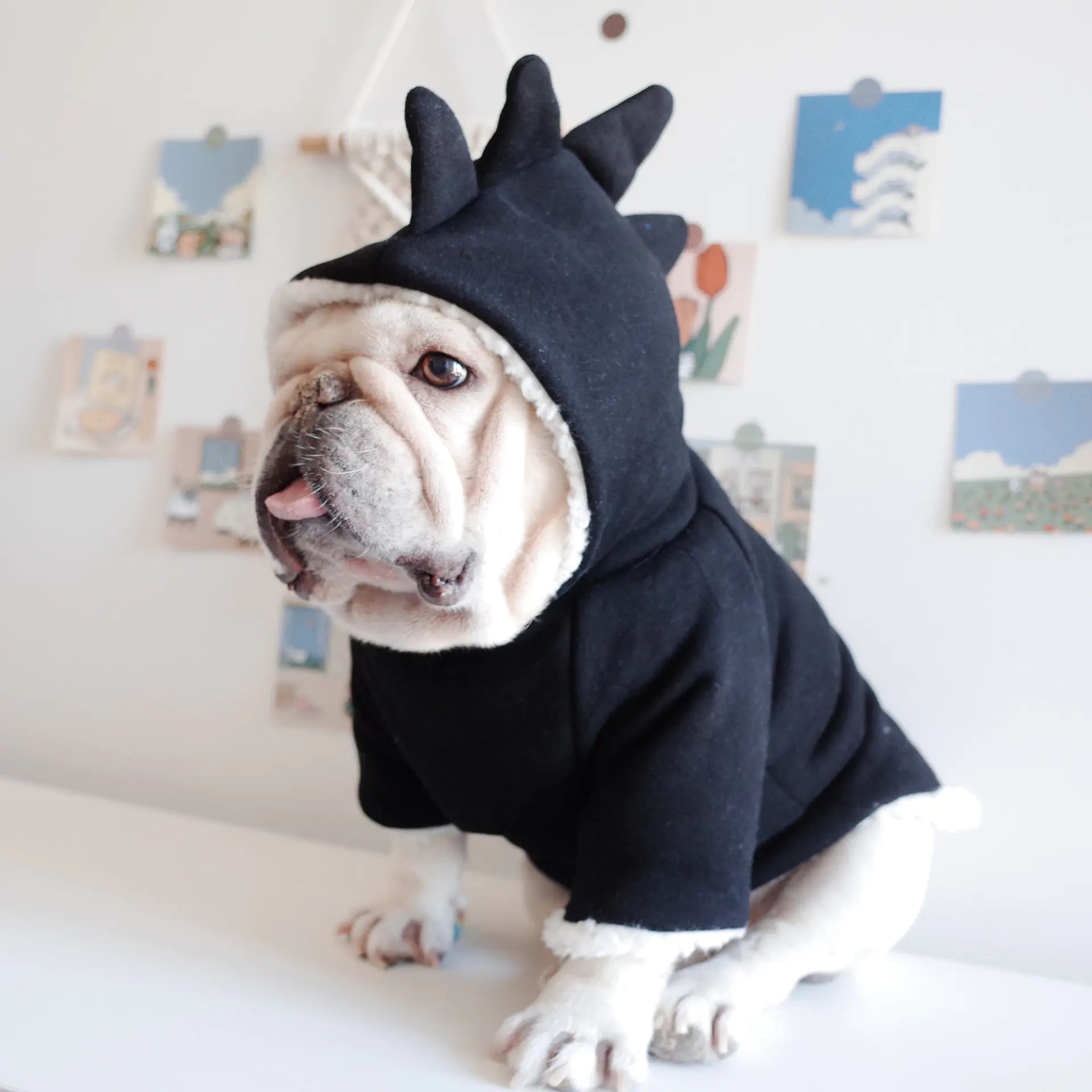Dinosaur Hooded Sweater for Dogs in Lamb Fleece