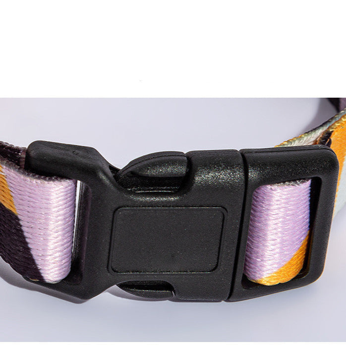 Dog Collar Neck Collar Pet Leash