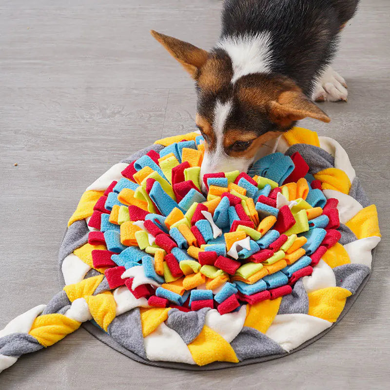Dog Treat Sniffing Pad for Decompression Training